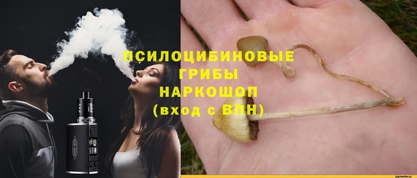 гидра Аркадак