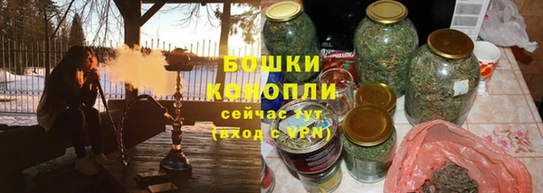 гидра Аркадак